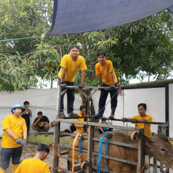 Kolaborasi Kader dan Masyarakat, WIZ Sinjai Sukseskan Qurban 1447 H di Enam Titik Pelaksanaan
