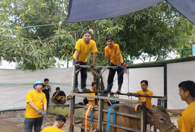 Kolaborasi Kader dan Masyarakat, WIZ Sinjai Sukseskan Qurban 1447 H di Enam Titik Pelaksanaan